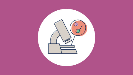 Egg Quality & Embryo Grading 101