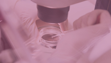 The Role of Embryology Lab Incubators at Boston IVF: Ensuring Optimal Conditions for Your Embryos